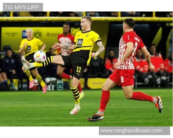 多特与拜仁激战在即谁能在德甲巅峰对决中笑到最后